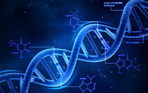 新进展 | 全球首款DMD基因疗法中生物标志物分析技术_药融云
