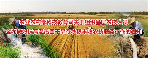 中国农技推广，农技综合服务平台