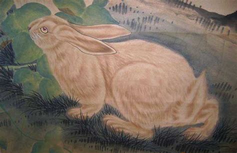 1975年男兔的性格 1975年属兔男的性格和脾气及爱情观 - 万年历