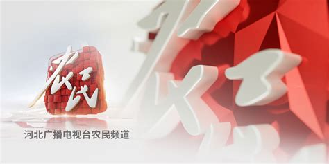 河北农民报、农民互联网邯郸频道首次举办2016春节联谊会圆满结束-区域经济