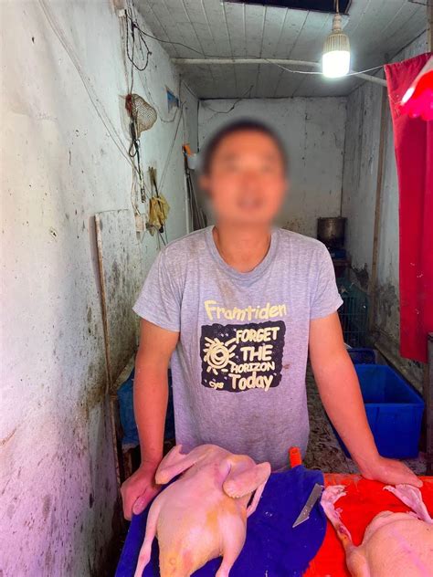 男子偷3只老母鸡在上海摆摊被刑拘，此前还偷过25只老鸭