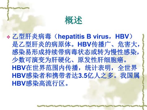 一种HBV完整病毒颗粒的免疫捕获分子检测方法