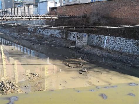 “回头看”典型案例通报（四）丨 吉林省辽源市整改敷衍应对 仙人河黑臭问题依然突出