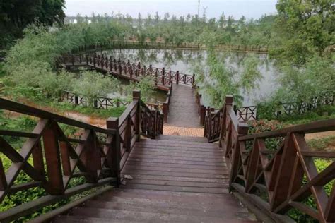 崇仁县林业科技博览园建设项目（EPC） - 抚州庆吉祥环境工程有限公司