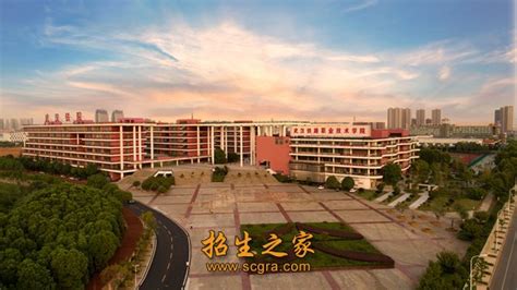 武汉职业技术学院-VR全景城市