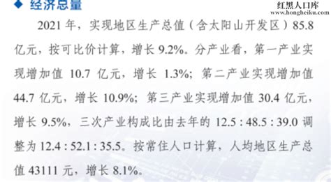 红寺堡区“金融活水”助“六个先锋” 踔厉奋发