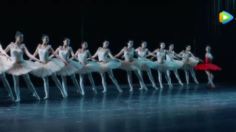 历史上有哪些全球知名的芭蕾舞女演员，她们的特点分别是什么？ - 知乎