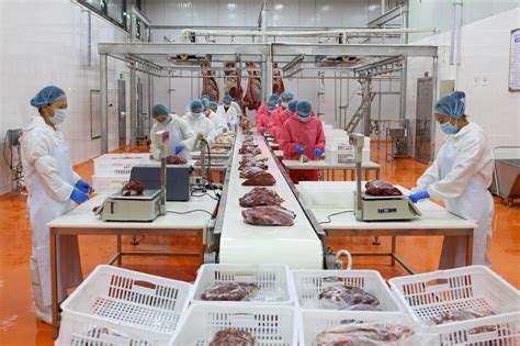 向数字化转型！今年龙江肉类行业定下新目标