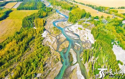博尔塔拉河生态工程获评国际奖项 -天山网 - 新疆新闻门户