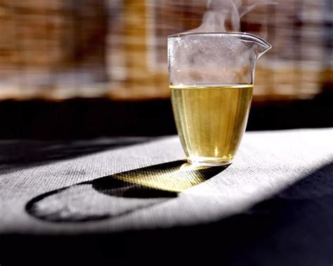 九十三度老白茶 | 传统白茶与新工艺制作的白茶，有什么区别 - 中国焦点日报网