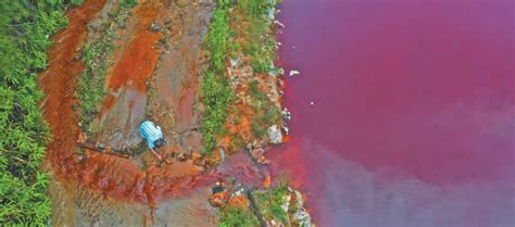 世界上毒性最强的十大水母 澳洲方水母毒性最强_巴拉排行榜