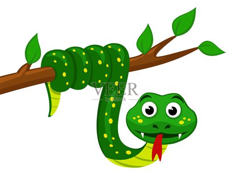 一条蛇挂在树上，露出舌头。白色背景上的毒蛇。插画图片素材_ID:352874943-Veer图库