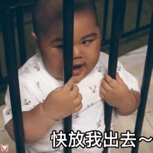 出来玩的表情包图片