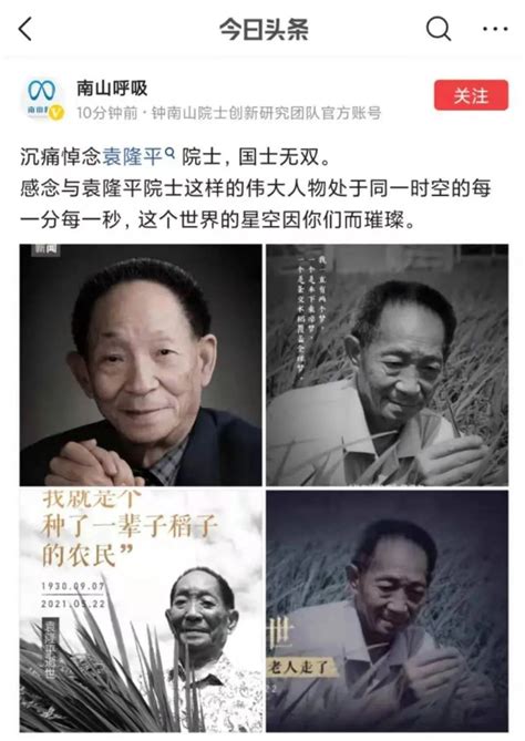科学网—悼念袁隆平先生 - 杨正瓴的博文