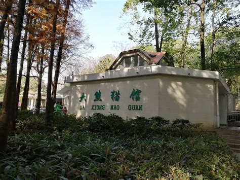 武汉动物园22日恢复开放 各大公园均将限流凤凰网湖北_凤凰网