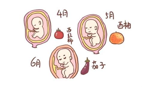 孕妇4四个月注意事项(怀孕4到6个月要注意事项什么） - 辣妈贝贝