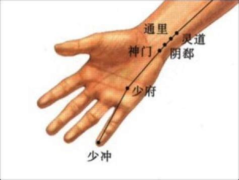 神门穴位图图片