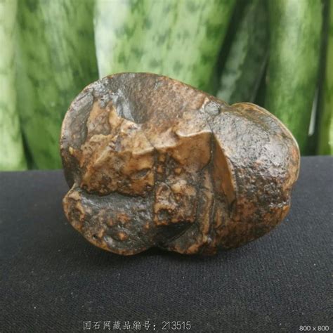 黄蜡石114号，象形石“金蟾” - 石馆 - 国石网
