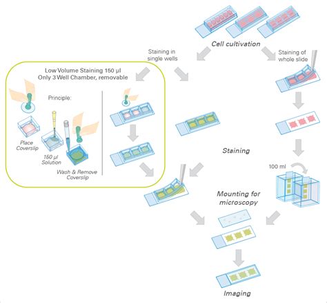 一体化细胞免疫荧光技术方案_化工仪器网