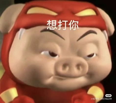 爆气表情包图片
