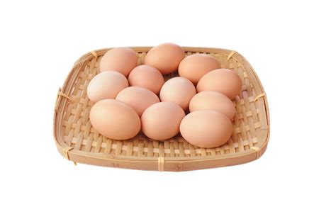 鸡蛋期货交割大全（三）交割仓库和仓单怎么申请-中信建投期货上海