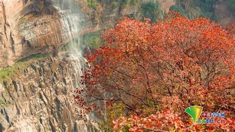 留坝深秋景观大赏，秦岭秘境看红叶，走中国最美的山村公路 - 旅行族