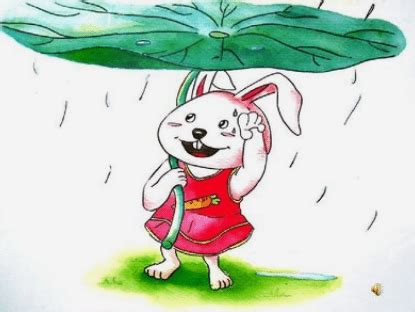儿童绘本《下雨的时候》儿童故事绘本分享_荷叶