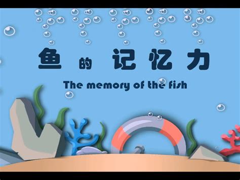 鱼的记忆真的只有七秒吗--中国数字科技馆