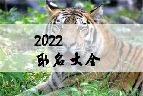 2022年属虎宝宝名字,适合属虎的名字,20年属虎(第13页)_大山谷图库