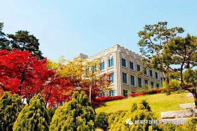 2019最新韩国大学十大排行榜 首尔大学稳居榜首_巴拉排行榜