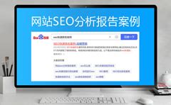 SEO案例,网站优化案例-客来SEO