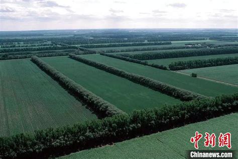 2019年中央财政重点补助5个农业绿色发展工程建设项目-黑龙江省华牧生物技术有限公司-官网