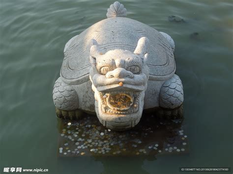 44斤重、1米多长！四川乐山岷江发现巨大鳄龟 浑身布满苔藓_手机新浪网