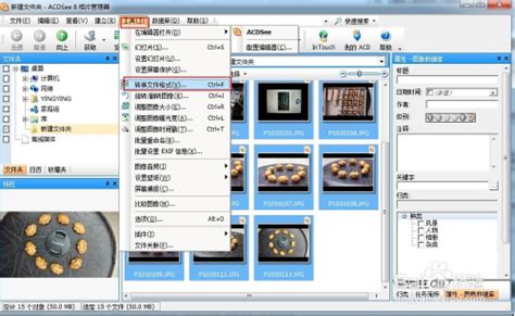 acdsee32中文破解版下载-acdsee32破解版v2.45 最新版 - 极光下载站