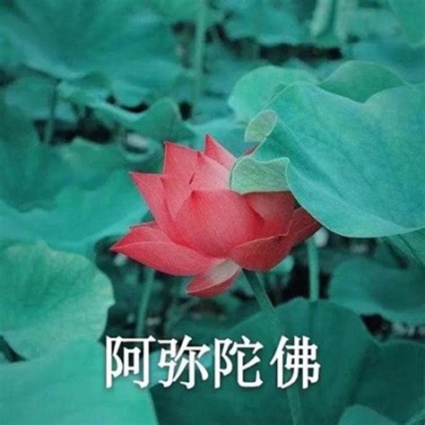 头像非主流中老年