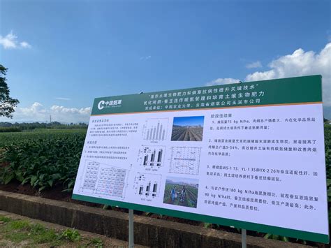 云南玉溪：探索提升地力新技术新模式助推绿色农业发展