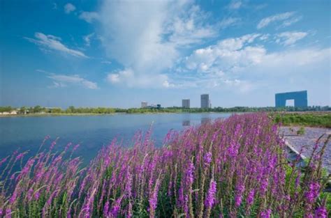 天津中央湖公园游玩攻略- 天津本地宝