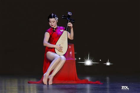 一曲琵琶图片