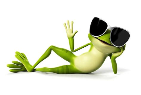 有趣的青蛙特写图片-带着眼镜的青蛙插画素材-高清图片-摄影照片-寻图免费打包下载