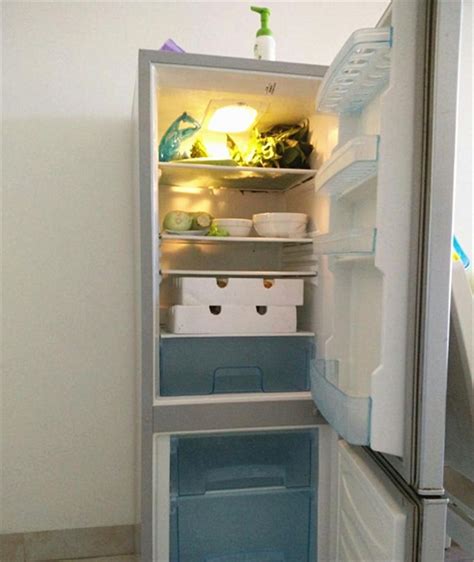 冰箱“天冷断电，可以省电” 这种说法是真的吗 - 装修保障网