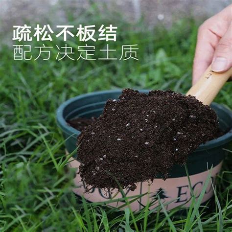 22养花土i绿植营养土花肥盆栽土种植土蚯蚓土有机肥有机原土基质-淘宝网