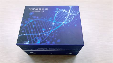 Western Blot检测试剂盒_价格-厂家-供应商_武汉纯度生物科技有限公司_丁香通