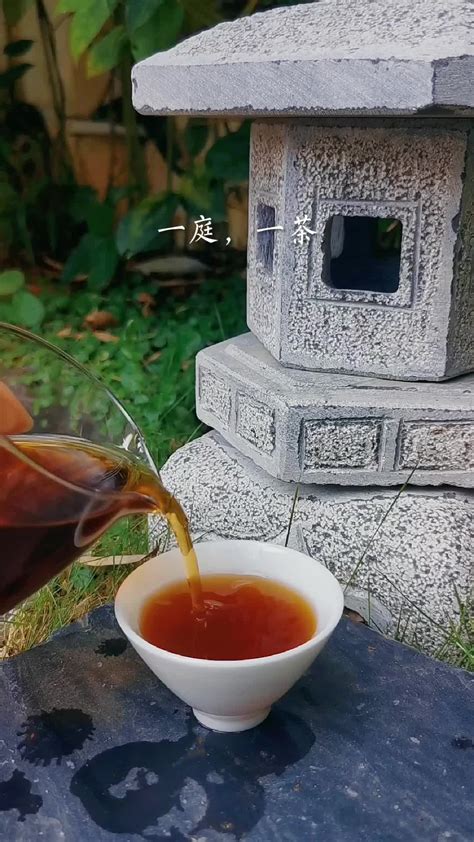 美好茶生活，一花，一木，一茶，一味_凤凰网视频_凤凰网