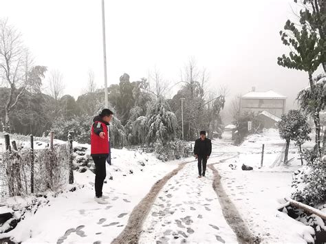 下雪了！湖南升级发布低温雨雪冰冻橙色预警_岳阳_积雪_张家界