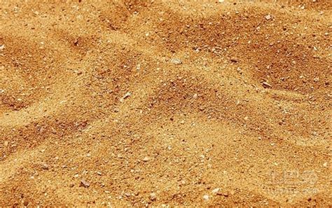 砂子和沙子的区别有这4点不同 价格详情分享 - 本地资讯 - 装一网