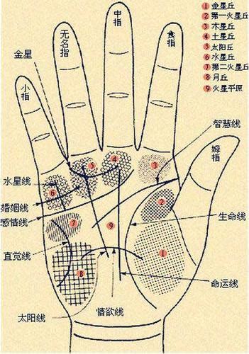 男士手相图解左手图片 男士手相图解左手图片