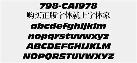 798-CAI978免费字体下载 - 英文字体免费下载尽在字体家