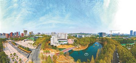 武汉大学在河南2019招生计划、近年录取情况来了-大河报网
