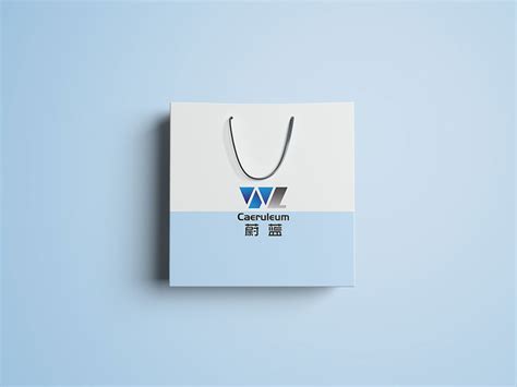 东莞品牌vi设计_品牌LOGO设计帮你成就世界500强-东莞品牌vi设计