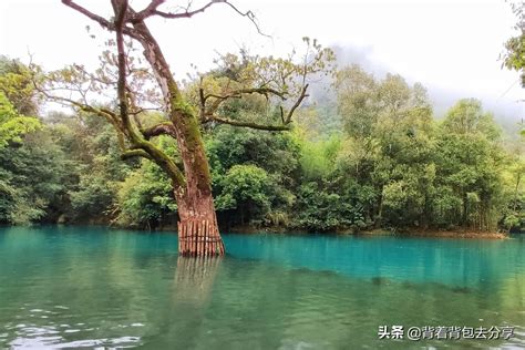 中国十大仙境-重庆武隆仙女山森林公园
